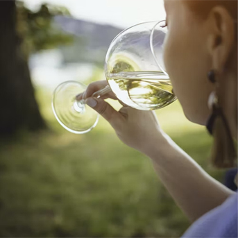 White Wine - Noble Estates Wine & Spirits
